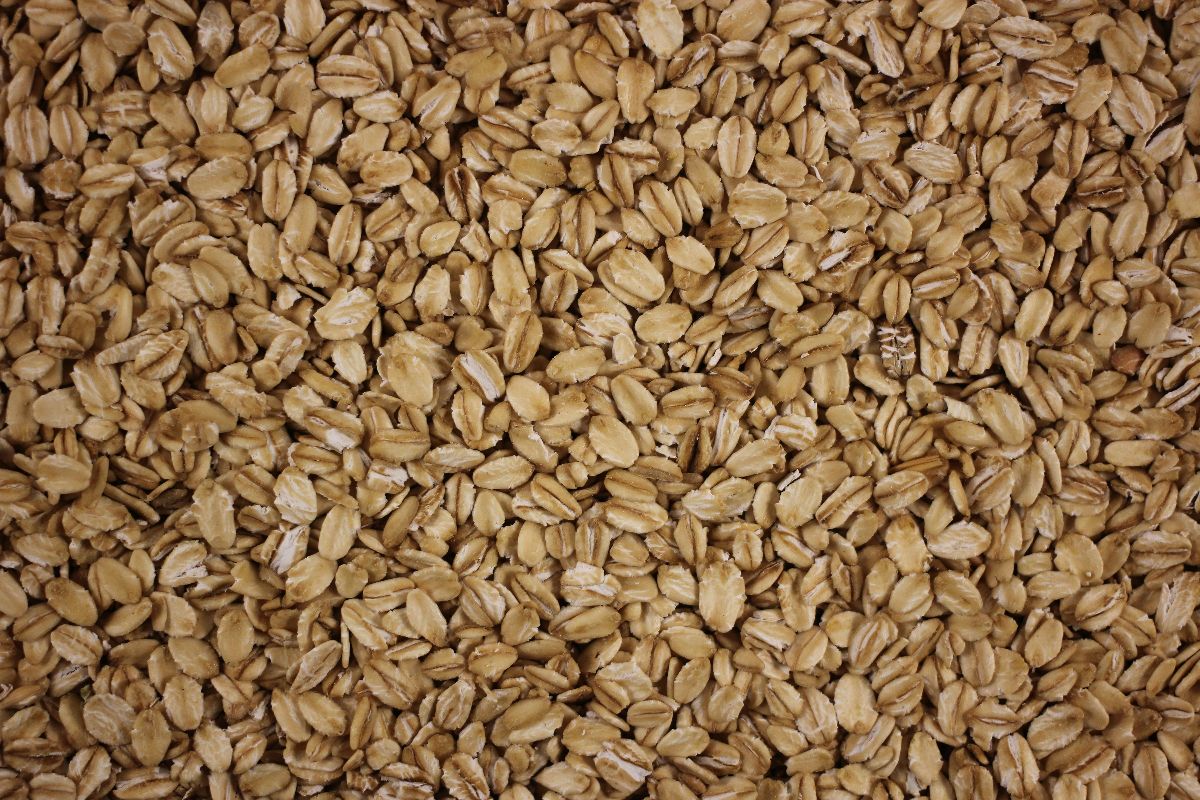 Avoine et gluten : l’avoine contient-elle du gluten ?