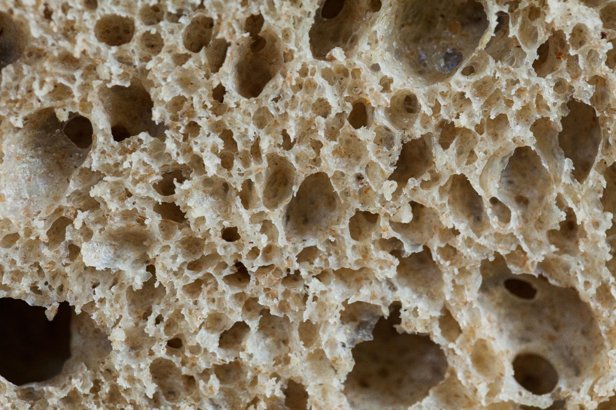 Qu’est-ce que le gluten ? Comprendre cette protéine naturelle