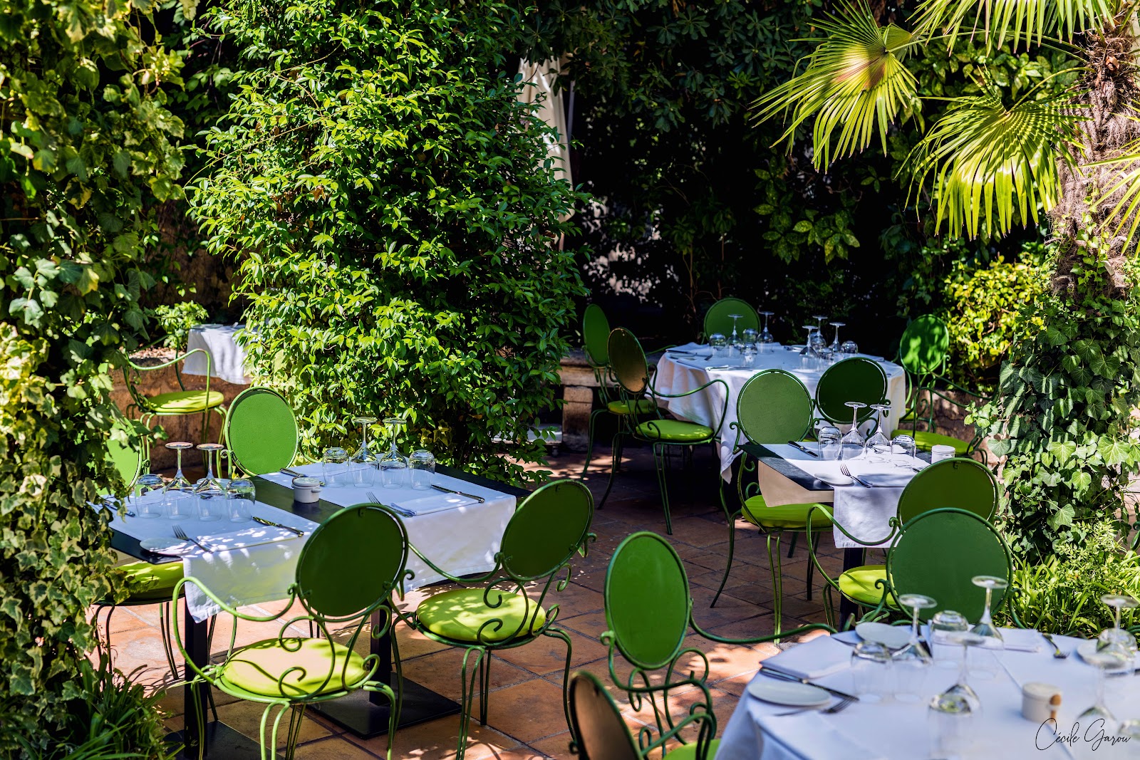Photo du restaurant Restaurant du Petit Jardin à Montpellier