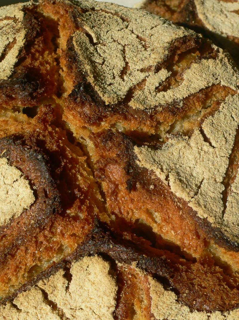 Le Pain de Beauvoir, boulangerie sans gluten à Beauvoir en Royans — photo 2