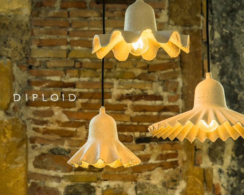 Diploid, restaurant sans gluten à Lyon — photo 4