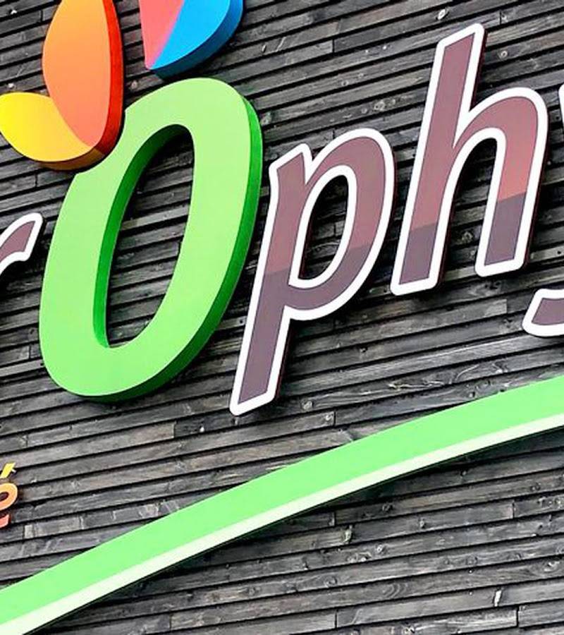 Bio Chlorophyll Goulaine, restaurant sans gluten à Basse goulaine — photo 4