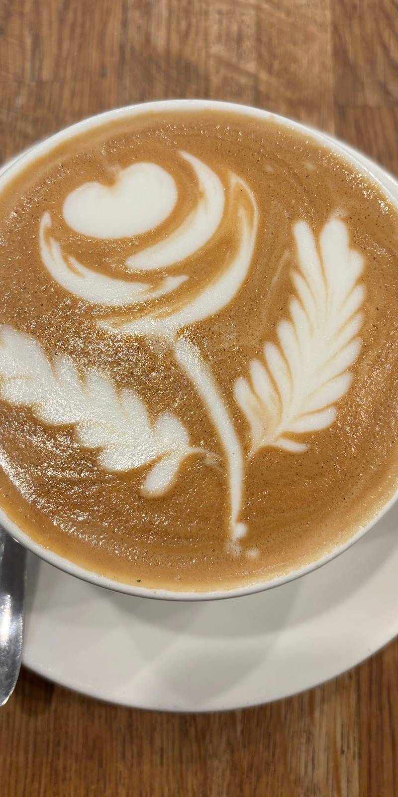 Beanhive Coffee Dawson Street, restaurant sans gluten à D02 Fy28 — photo 4