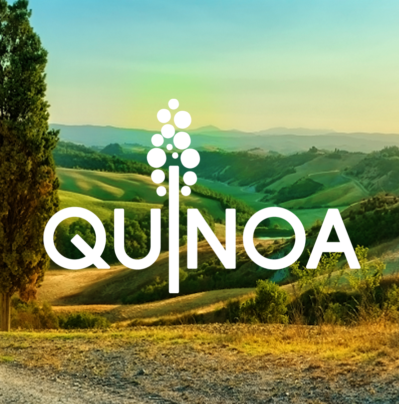 Ristorante Quinoa, restaurant sans gluten à Firenze — photo 4
