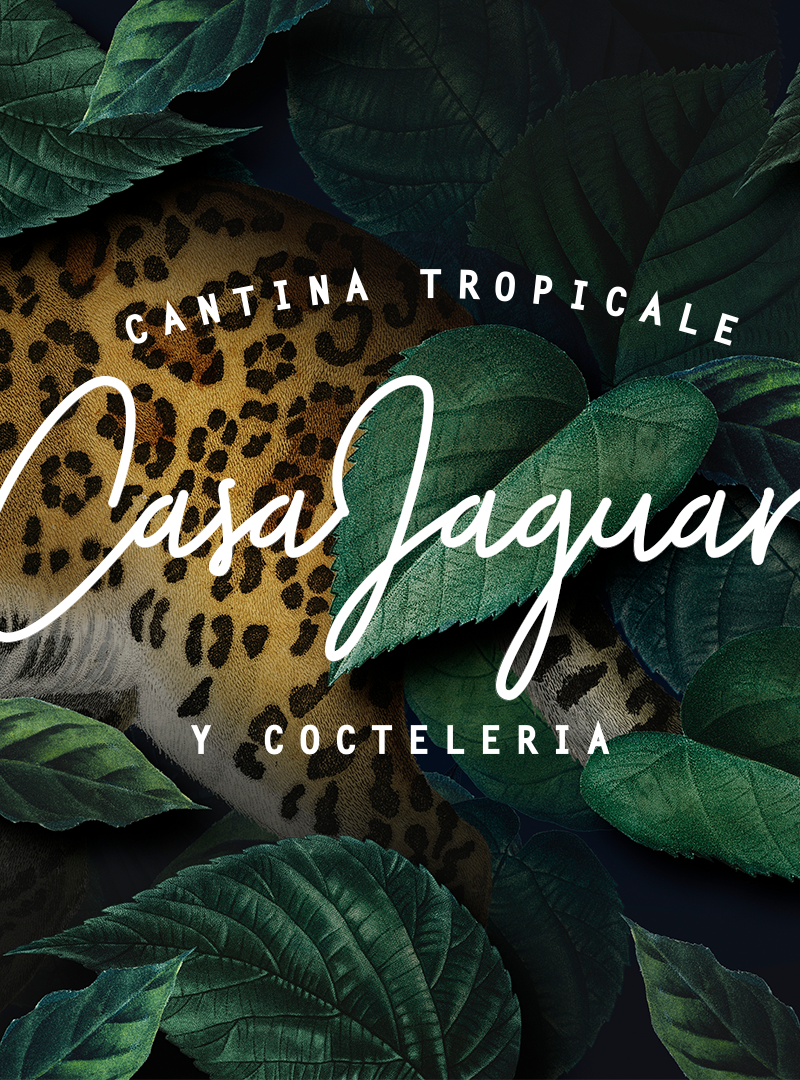Casa Jaguar, restaurant sans gluten à Lyon — photo 3
