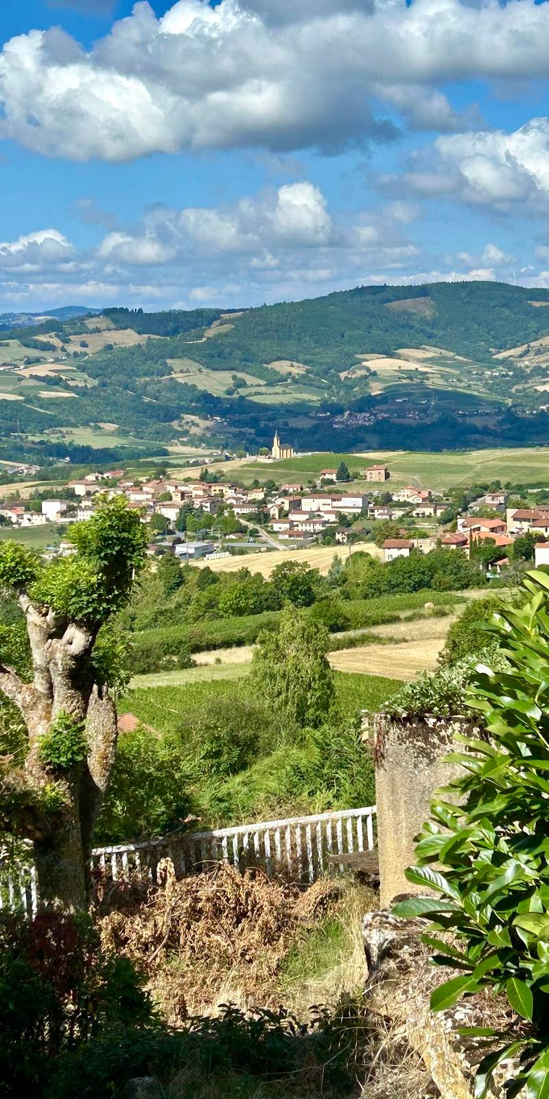 La Table du Donjon, restaurant sans gluten à Val d'Oingt — photo 4